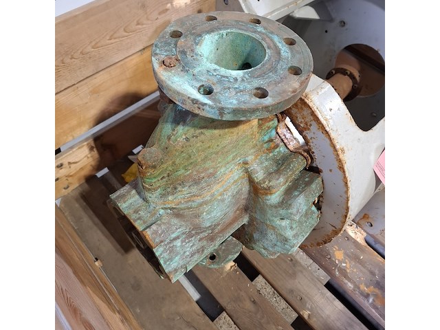 3x centrifugaal pomp, johnson pump - afbeelding 5 van  10