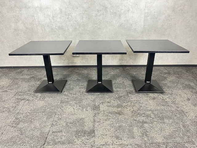 3x de arend - kantinetafel 70x70 - afbeelding 1 van  8