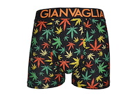 3x gianvaglia katoenen herenboxer xl mix color - afbeelding 2 van  3