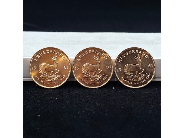 3x gouden munt, south africa, krugerrand, 1981 - afbeelding 1 van  5