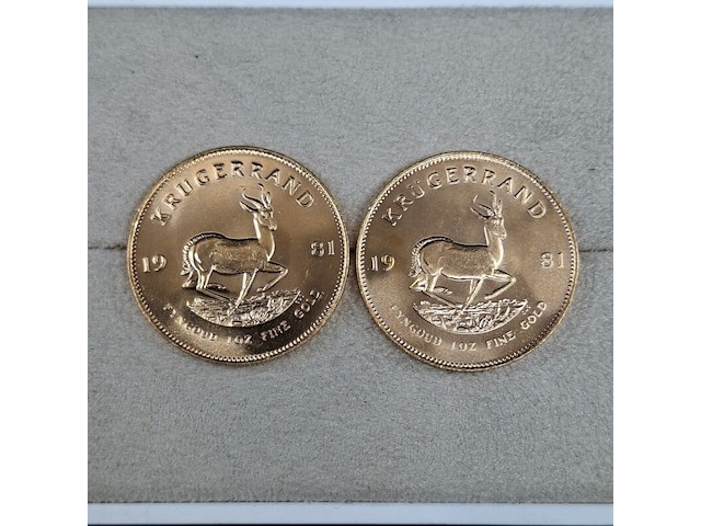 3x gouden munt, south africa, krugerrand, 1981 - afbeelding 2 van  5