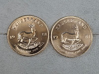 3x gouden munt, south africa, krugerrand, 1981 - afbeelding 2 van  5