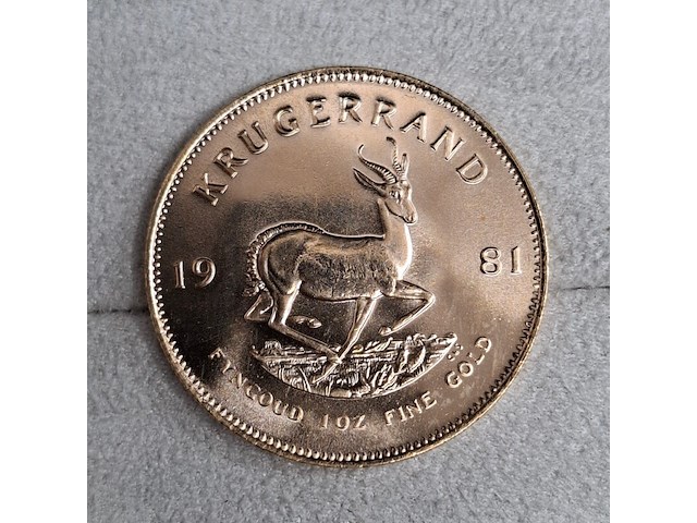 3x gouden munt, south africa, krugerrand, 1981 - afbeelding 3 van  5