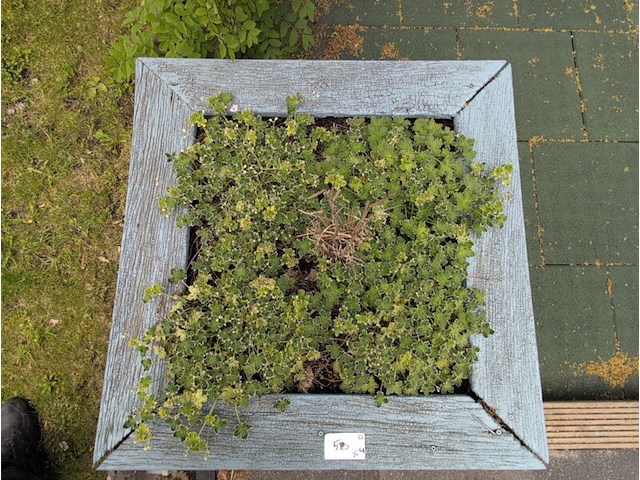 3x houten bloembak - afbeelding 3 van  13