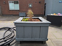3x houten bloembak - afbeelding 7 van  13
