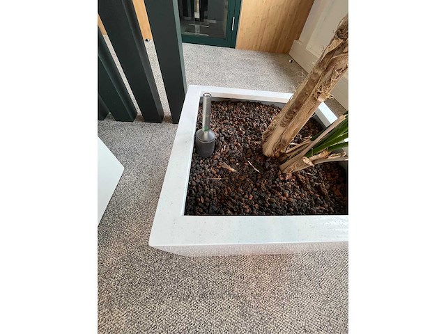 3x hydrocultuurplant in kunststof pot - afbeelding 11 van  13