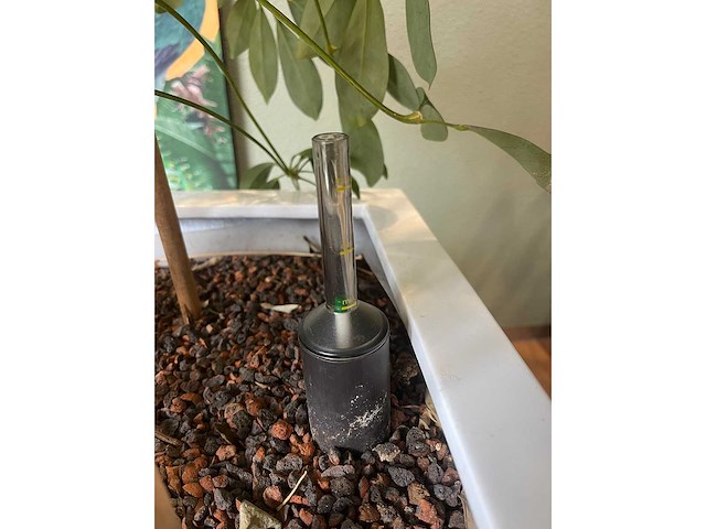 3x hydrocultuurplant in kunststof pot - afbeelding 10 van  11