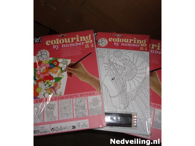 3x kleuren op nummer a4 incl kleurpotloden - afbeelding 2 van  3