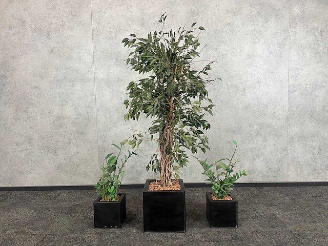3x kunstplant in pot h150 - afbeelding 1 van  8