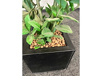 3x kunstplant in pot h150 - afbeelding 5 van  8