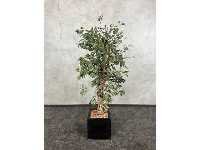 3x kunstplant in pot h150 - afbeelding 6 van  8