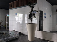 3x kunstplant in pot - afbeelding 1 van  7