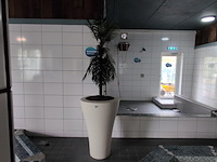 3x kunstplant in pot - afbeelding 2 van  7