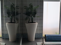 3x kunstplant in pot - afbeelding 5 van  7