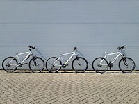 3x mountainbike, wit