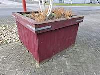 3x plantenbak met berkenboom - afbeelding 4 van  6