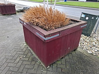 3x plantenbak met berkenboom - afbeelding 5 van  6