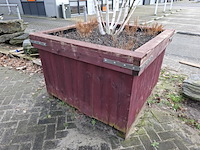 3x plantenbak met berkenboom - afbeelding 6 van  6