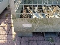 3x stapelbare gaaskrat - afbeelding 7 van  11