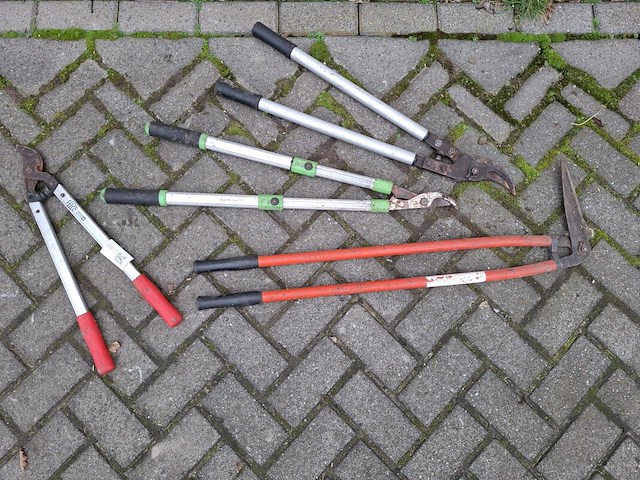 3x takkenschaar en 1x graskantenschaar - afbeelding 1 van  5