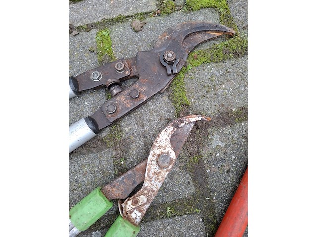 3x takkenschaar en 1x graskantenschaar - afbeelding 3 van  5
