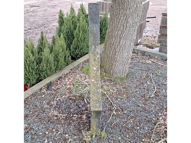 3x tuinbeeld - afbeelding 4 van  10