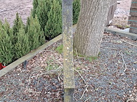 3x tuinbeeld - afbeelding 4 van  10