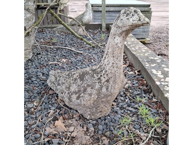 3x tuinbeeld - afbeelding 6 van  10