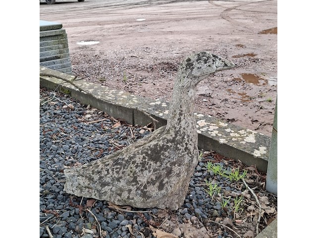 3x tuinbeeld - afbeelding 7 van  10