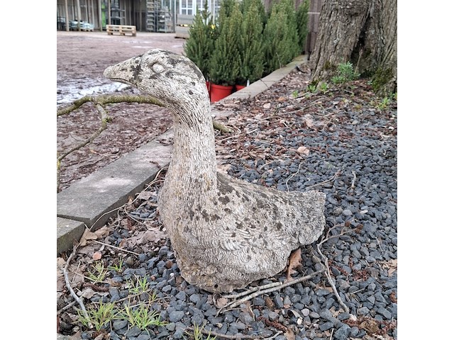 3x tuinbeeld - afbeelding 8 van  10