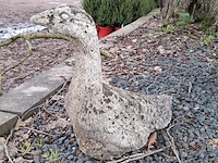 3x tuinbeeld - afbeelding 8 van  10