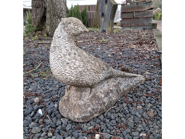 3x tuinbeeld - afbeelding 9 van  10