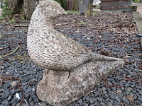 3x tuinbeeld - afbeelding 9 van  10