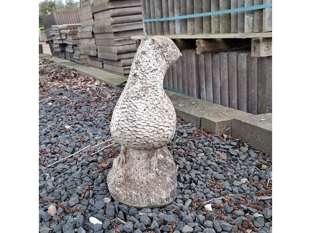 3x tuinbeeld - afbeelding 10 van  10