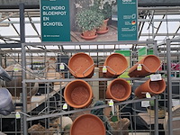 3x verrijdbare stelling met inhoud - afbeelding 6 van  9