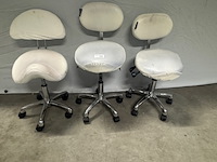 3x zadelkruk o.a.: reeve, wit