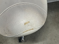 3x zadelkruk o.a.: reeve, wit - afbeelding 9 van  9