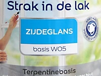 3x zijdeglans lak flexa, strak in de lak, basis w05 - afbeelding 2 van  2