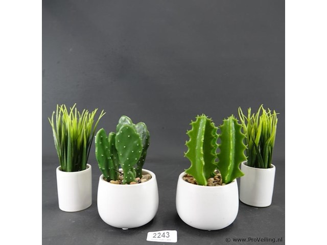 4 kunstcactussen in pot - afbeelding 1 van  5