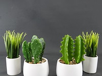 4 kunstcactussen in pot - afbeelding 1 van  5