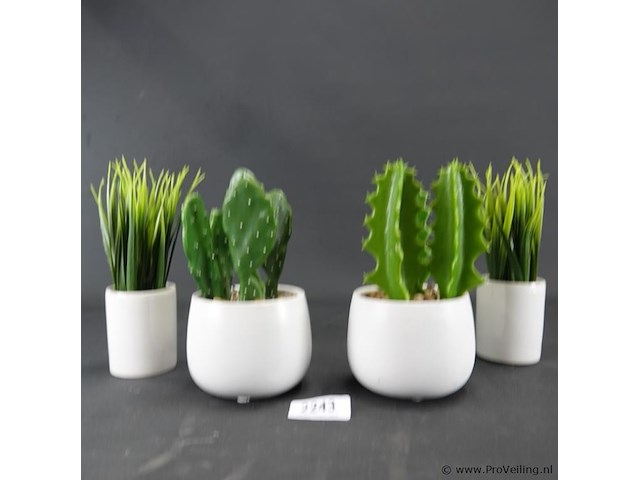 4 kunstcactussen in pot - afbeelding 2 van  5