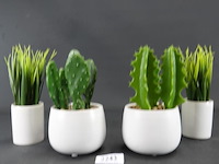 4 kunstcactussen in pot - afbeelding 2 van  5