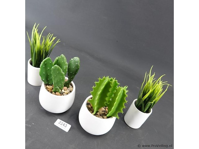 4 kunstcactussen in pot - afbeelding 3 van  5
