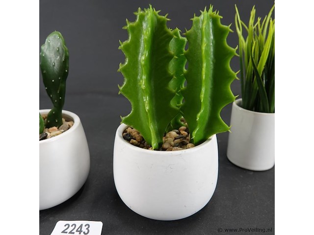 4 kunstcactussen in pot - afbeelding 4 van  5
