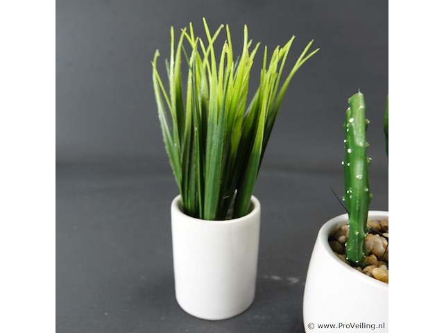 4 kunstcactussen in pot - afbeelding 5 van  5
