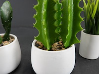 4 kunstcactussen in pot - afbeelding 4 van  5