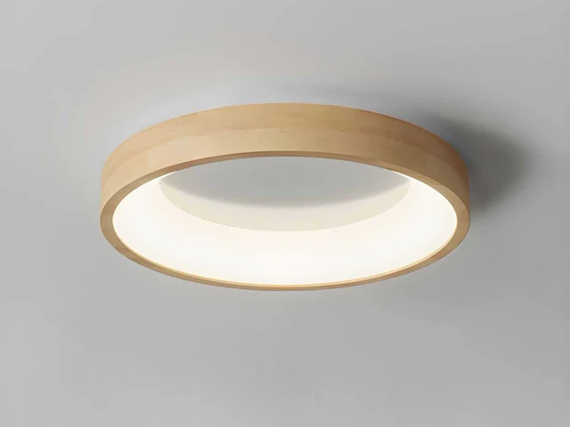 4 x anello led plafond lamp essen - afbeelding 1 van  6