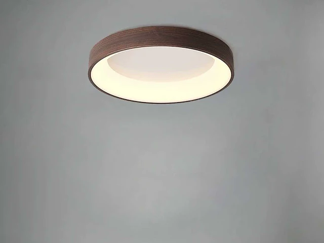 4 x anello led plafond lamp noten - afbeelding 6 van  6