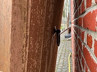 4 x houten deur - afbeelding 2 van  10