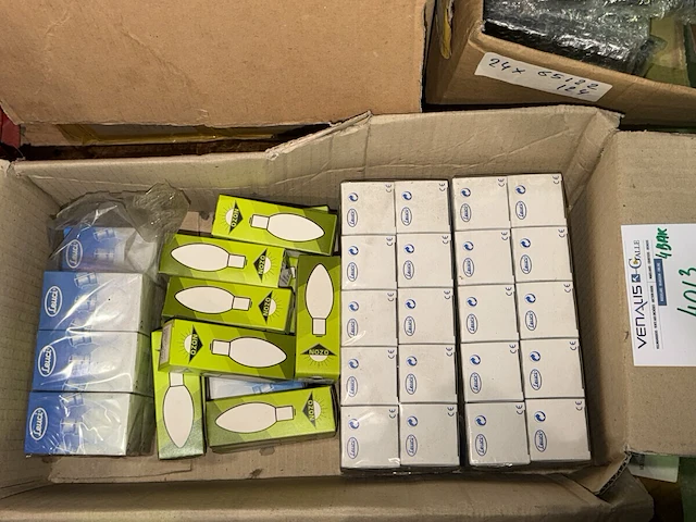 40 lampen leuci/nozo - afbeelding 4 van  4